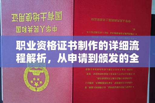 社旗职业资格证书制作的详细流程解析，从申请到颁发的全方位指南
