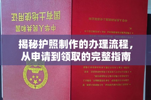 社旗揭秘护照制作的办理流程，从申请到领取的完整指南