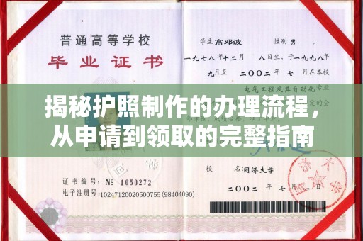 社旗揭秘护照制作的办理流程，从申请到领取的完整指南