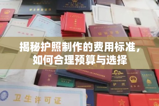 社旗揭秘护照制作的费用标准，如何合理预算与选择